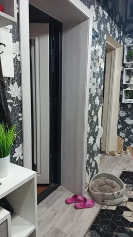 #яимояжизнь...