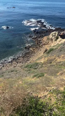 I CAN DO ALL THINGS THROUGH CHRIST #blessed #juliesaavedra #juliesprayerrun #foryoupage #fyp #letgoandletgod #believe #foryourpage 