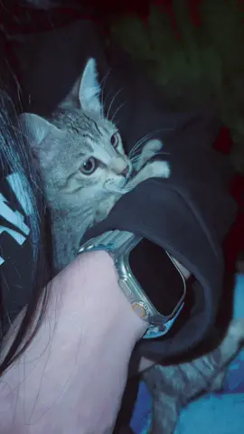 Qucağıma sığınmağı#keşfetteyizzzzzz 