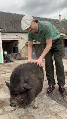Mettez le son 🔊😭 #animaux 