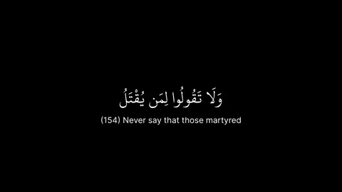 Surah Baqarah #قران_كريم #قران #quran_alkarim #quranrecitation #quran 