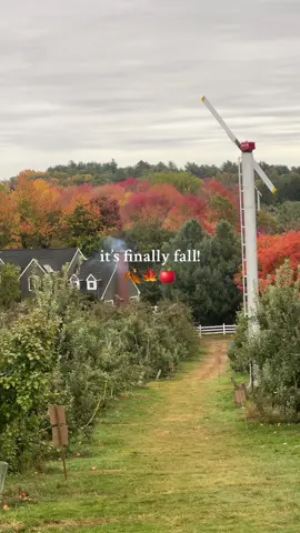 Happy fall everybody!! Finally🥰🍂🍁  #cozyautumn #fallaesthetic #fallvibes #cozyliving #applepicking 