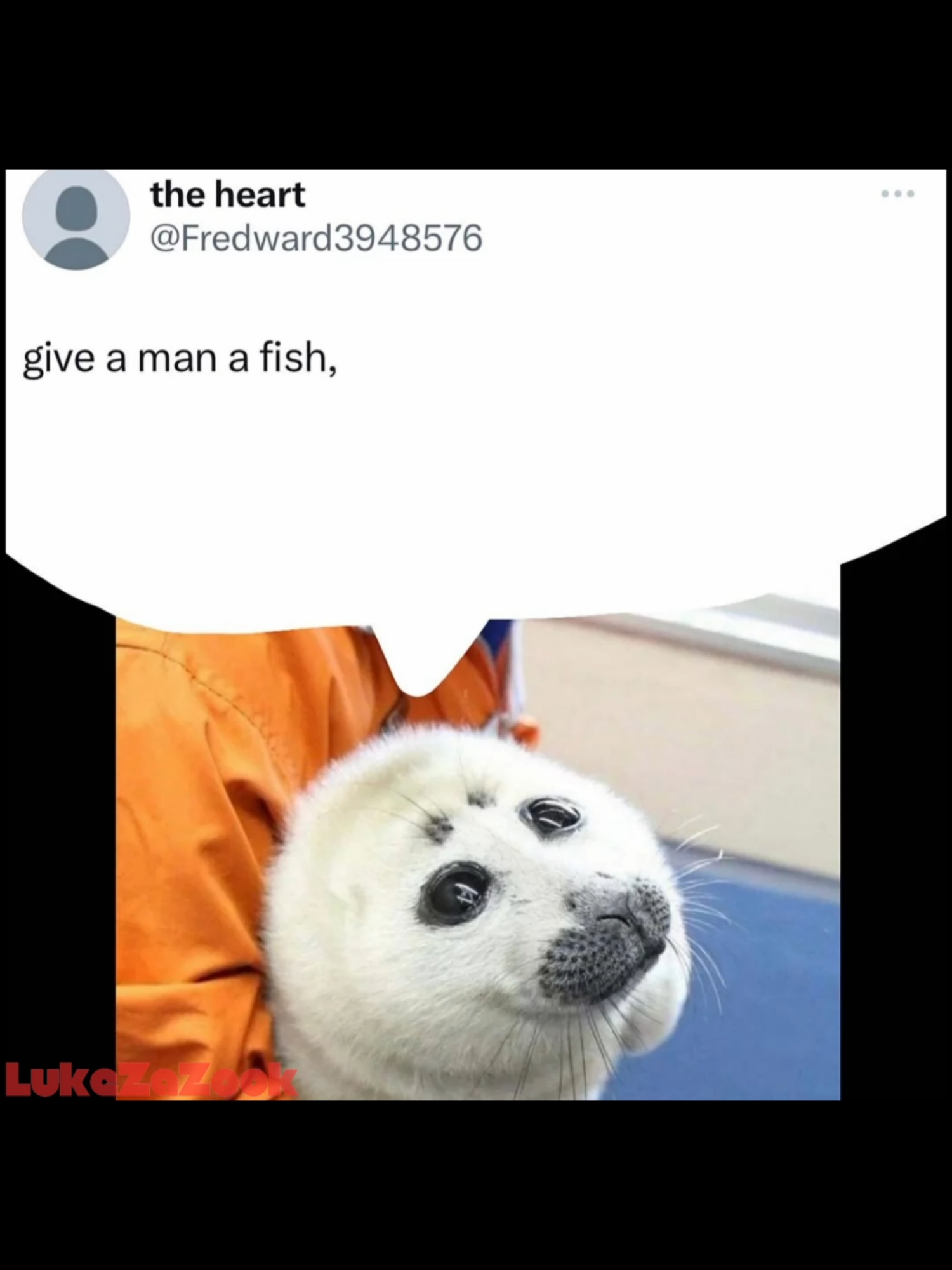 Give a man two fish, even better! #reelsvideo #memes #voiceactor #voiceover #voiceacting #seal #cuteanimals