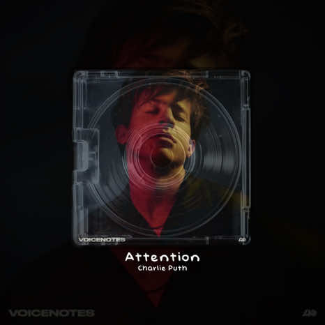 Attention. #notricwrz #lyrics 