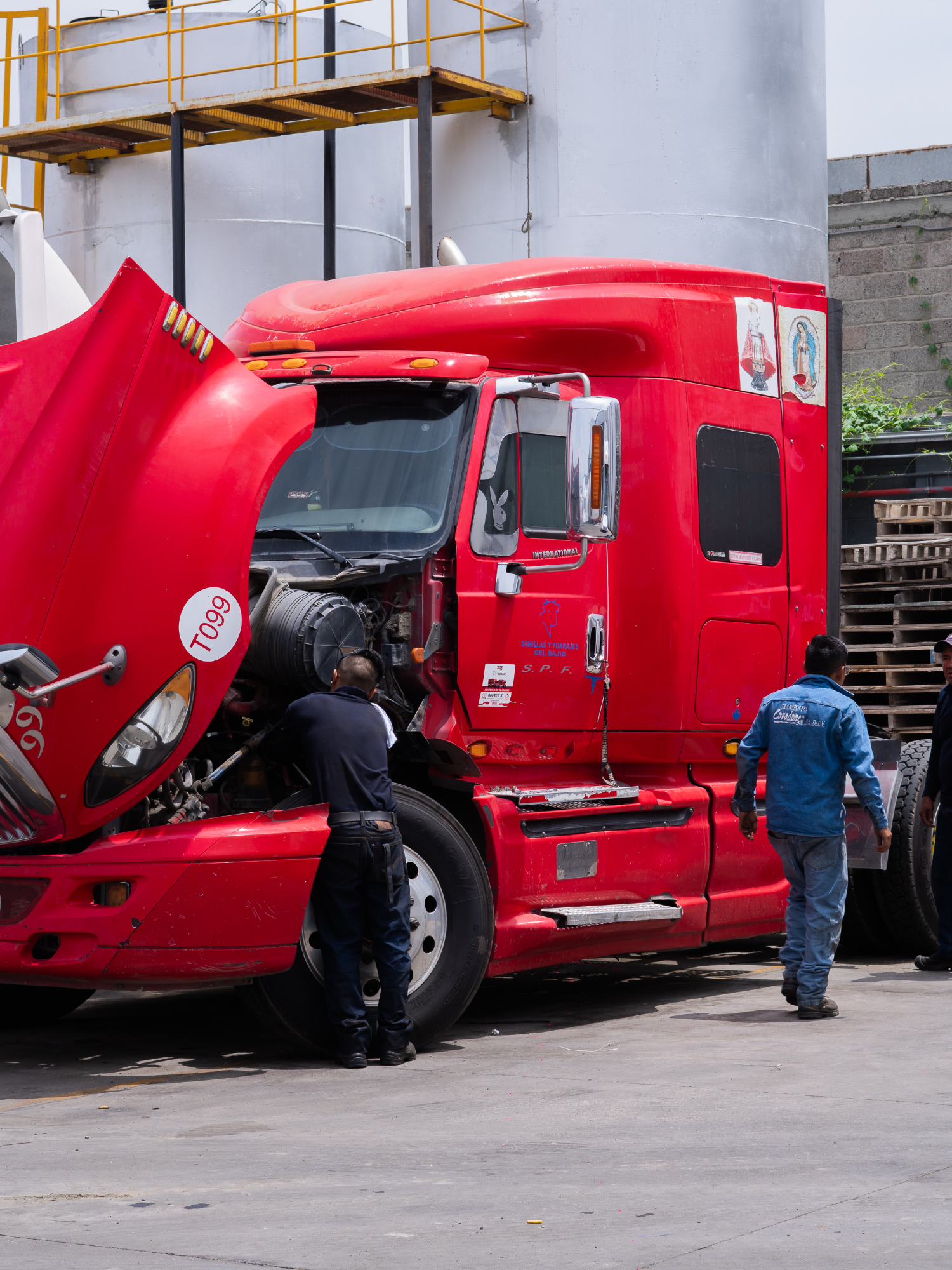 Hay caminos que no cualquiera se atreve a recorrer. Y aunque no estemos en las rutas más peligrosas del mundo, en Covadonga sabemos que cada trayecto exige respeto, experiencia y cabeza fría. Aquí, cada kilómetro se toma en serio. 🚛🛣️ 📞5510882483 . . . #transporteseguro #rutasconexperiencia #camionerosprofesionales #rutaconrespeto #viajaconcovadonga