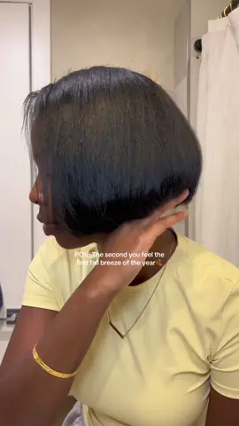 It's the first official day of Fall and here in NYC I feel like it's safe to say...silk press season is here! *every product I used to achieve this silk press will be in my LTK through my b!o * There's nothing like a good, flawless silk press on a blunt cut bob to kick off Fall 😬.  #bobhaircut #shorthairstyles #naturalhairbob #silkpressseason #blackgirlhairstyle 