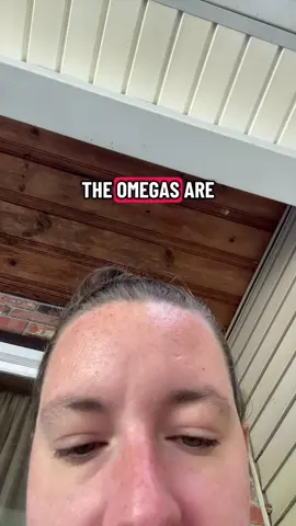 I’m talking everything we know about the omegavers flipped upside down. Alphas that are expected to wear muzzles in public instead omegas wearing collars #bl #yaoi #fujo #fujoshi #omegavers 