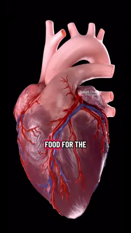 Importance Of Black Cumin Seed Oil Explained! #heart #fat #fyp #watchtillend #foru  