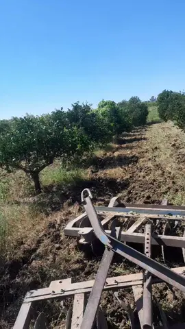 # 01 Adana Kozan Dikilitaş köyü #