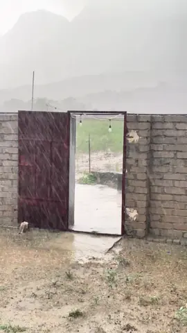 #امطار_الخير #الشعب_الصيني_ماله_حل😂😂 