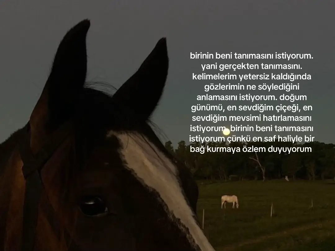 #mireniith #keşfet #fypp 