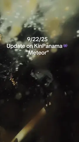 Update on @Kin👾 9/22/2025