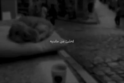 🖤 #foryou #foryoupage #fypシ゚ #mst0o_x #alndfitness 