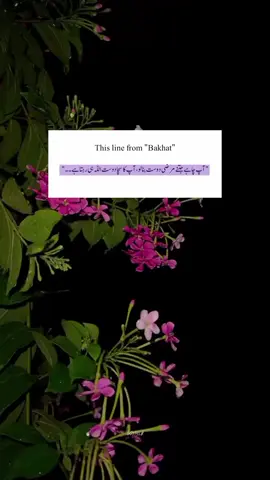 This line 🥺❤️‍🩹 . . . . . . . . . . . . . . . . . . . . #noveledits #umarhayat #halaysultan #mehrunisa ##bakhat 