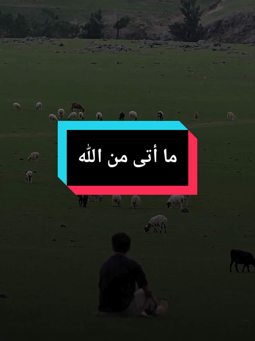 ما أتى من الله فالحمدلله ومااخذ فالحمدلله وهذا ليس الا للمؤمن الشيخ #islam8qurann #islam8quran 