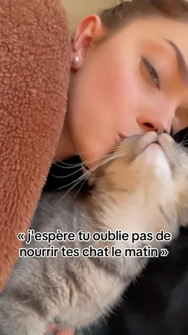 #fyp #chat #cat #trends 