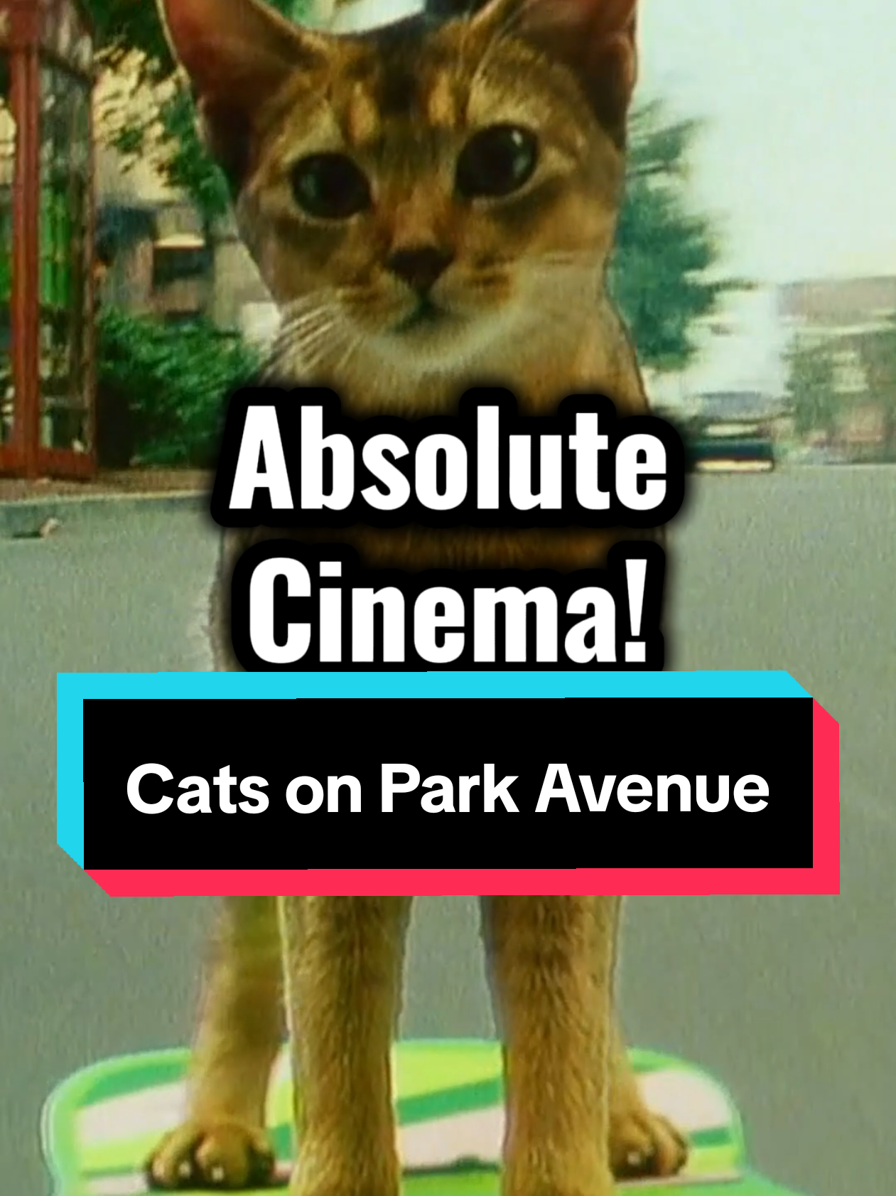 I've never seen a movie quite like Cats on Park Avenue lmaooo #movietok #filmtok #letterboxd #thefilmbug 