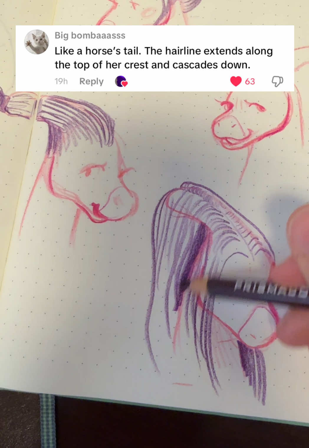 Replying to @Kolce i Kły  I was trying to make it look like a specific person (just to explain a lot of ‘why didn’t you do ___’) but ofc none of u would know that ofc lol!  BUT I was fascinated and terrified by several suggestions on my last vid, so here’s me trying several of them out!! #parasaurolophus #dinosaurart #coloredpencils #artrequests #hairstyles 