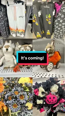 #fall #halloween #autumn #seasonal #halloweendecor 