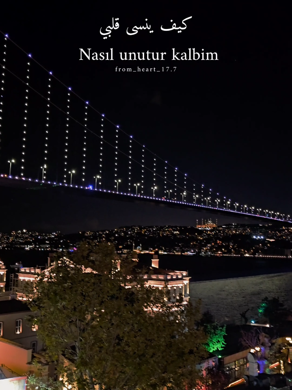 🩶Unutmadim #اغاني_تركية_مترجمة #ortaköy #istanbul #explore #fyp 