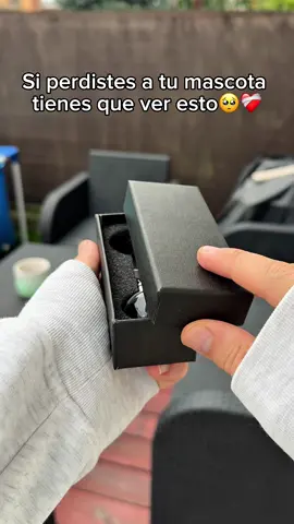 Personaliza tu recuerdo en una esfera🥹🔮#personalizado #regalos #recuerdos #mascotas #llaverospersonalizados 