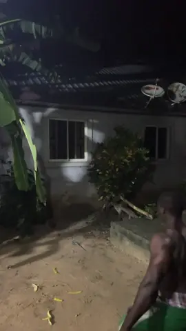 Dominant. Hundred men vs one sliver back gorilla 🦍 