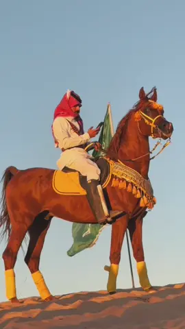 ماشاءالله تبارك الله🫡💚💚.#اكسبلور #الخيل_العربي_الاصيل #ماشاءالله #roblox #fyp 