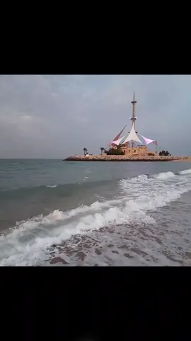 ❣️💚💚💚💚💚❣️