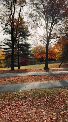 I live for these moments 🍂#autumn #autumnaesthetic #fall #autumnoutfits #fallvibes🍂 