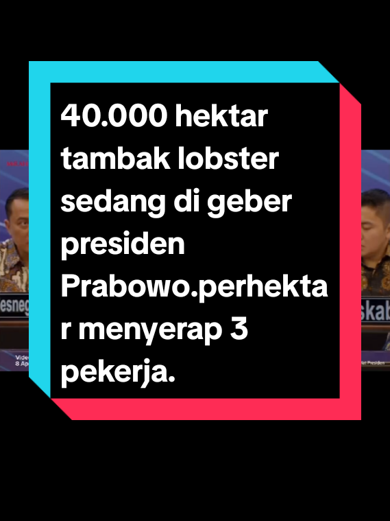 potensi kelautan sedang di geber presiden Prabowo, targetnya 40.000 hektar tambak lobster.perhektar terserap 3 pekerja. #fyp #viral #trending #prabowopresiden2024 #kkp @presidenriindonesia @presiden.prabowo028 