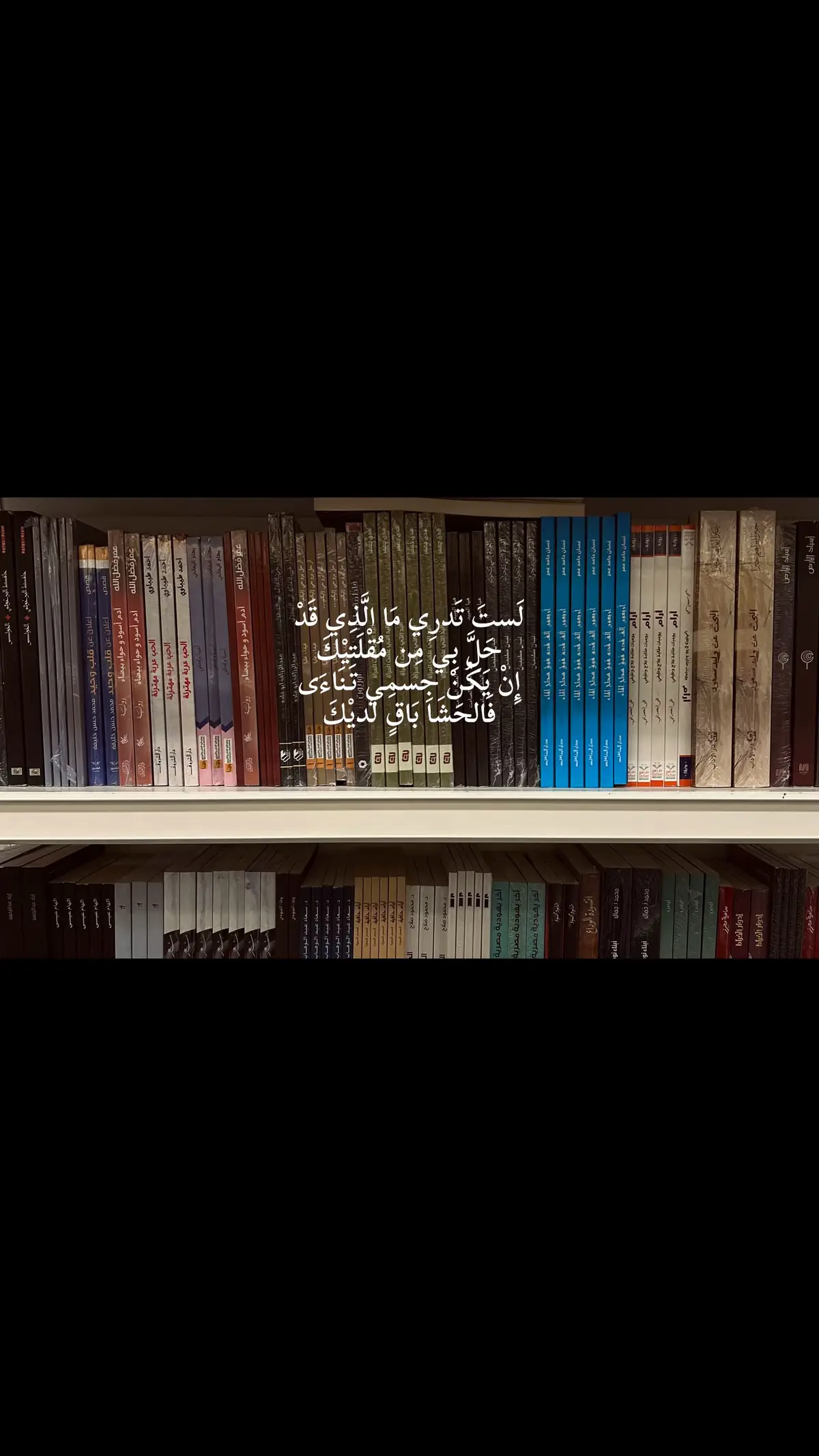 البيت الشعري 