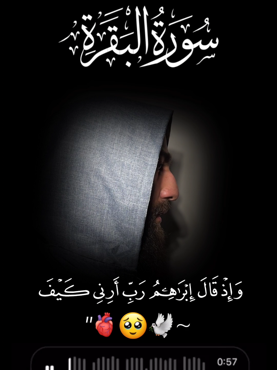 #واذقال_ابراهيم_ربى_ارنى_كيف_تحيي_الموتي #القران_الكريم #@اسماعيل سليم البخاري #سورہ_البقرہ۔۔۔ #pleasedontunderreviewmyvedios🔥 #cutefatima55 