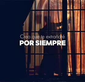 than never🎧 // #fyp #lycs_bedumb #lanadelrey #summertimesadnessxiwannabeyours #lyricsme 