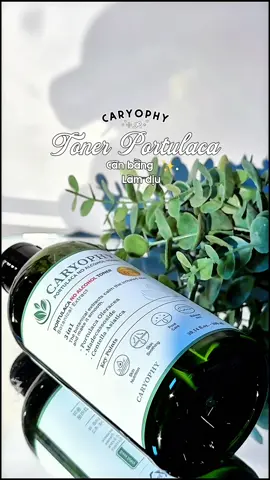 Da tui mà không có toner thì khác gì cây thiếu nước #caryophy #chamsocda #xuhuong #saleluongve #muataitiktok  