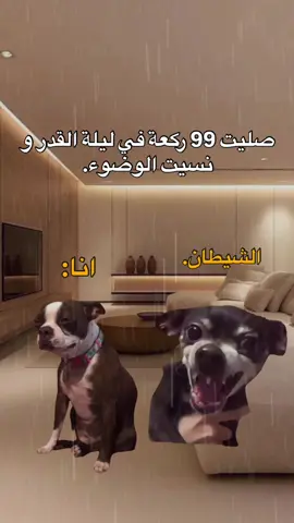 صارت 🤣🤣🤣. #fyp #viral #explore #الشعب_الصيني_ماله_حل😂😂 #مالي_خلق_احط_هاشتاقات #foryou #memes #منشن_للي_تحبه #طاقيه_طاقيها😁❤️💍 #حقيقة #ميمز_العرب 