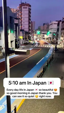 #creatorsearchinsights 5:10 am In Japan 🇯🇵 #japan #Tokyo #beautiful 