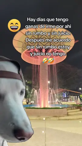 #CapCut #memecut #humortiktok #fypシ゚ #MemeCut 