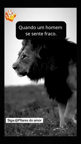 ✨ Quando o homem está fraco, Deus envia uma mulher de fé para ser coluna, apoio e força ao seu lado. 🙏❤️ Assim como Eva foi feita para estar com Adão, a mulher de Deus é presente divino para levantar, edificar e lembrar o homem do propósito que o Senhor colocou em sua vida. 💍👩‍❤️‍👨 🔹 A mulher sábia não apenas apoia, mas também ora, motiva e direciona o coração do homem para Cristo. 🔹 É bênção de Deus ter alguém que, nos momentos de dor, diga: “Você não está só, eu estou com você, e Deus também.” ✨ 📖 “Melhor é serem dois do que um, porque têm melhor paga do seu trabalho. Porque se um cair, o outro levanta o seu companheiro.” (Eclesiastes 4:9-10) 💡 Valorize essa mulher que Deus colocou ao seu lado, pois ela é resposta de oração e instrumento de restauração. #DeusNoControle #CasamentoAbençoado #ForçaDeDeus #MulherVirtuosa #União  💕🙏
