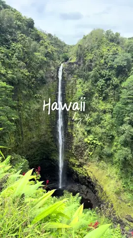 Hawaii Itinerary | Day 4: Hilo Highlights 🌿🌊 A day packed with waterfalls, local eats, and scenic strolls! 📍 Akaka Falls • $5 per person + $10 parking • Easy 0.4-mile loop through lush rainforest 🌴 📍 Boiling Pots • Free parking • Quick scenic drive-up stop with powerful views 🌋 📍 Rainbow Falls • Free + drive-up • Catch the morning rainbow in the mist 🌈 📍 Kaumana Caves • Free entry • Bring flashlights/headlamps + wear sturdy shoes 🥾 📍 Hilo Bay Walk • Stroll the waterfront and check out: ▫️ Hilo Farmers Market – Open daily, best on Wed & Sat (10am–2pm) ▫️ Two Ladies Kitchen – Famous mochi stop 🍡 📍 Coconut Island • Swim, relax, or picnic with ocean views 🌺 📍 Liliʻuokalani Gardens • Free Japanese-style garden right next to Coconut Island – super peaceful 🌸#hilo #hawaii #bigisland #waterfalls #travel 