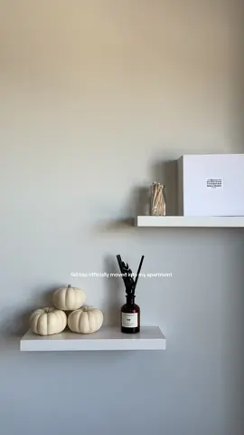 Happy first official day of fallllll 🍂🕯️🥧