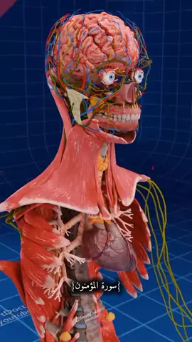 #القرآن_الكريم #شيخ - نورين #تلاوة_خاشعة #متابعتي #اكسبلور 