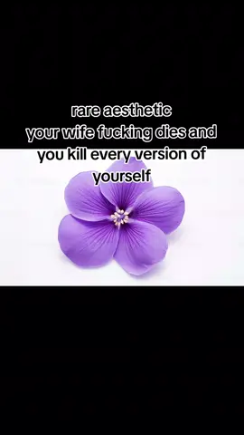 am i right lads or am i right lads #limbuscompany #heathcliff #catherine #wutheringheights #mili 