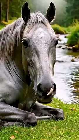 Help animals please🙏  #birds  🙀😮😮😮#ai#foryou  #animals #monkey 