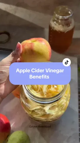 Homemade apple cider vinegar recipe⬇️ Apple cider vinegar has been treasured for centuries as a natural remedy. It can support digestion, balance blood sugar, boost gut health, and even strengthen immunity.  I think it’s amazing all of the homemade remedies coming into season right now as we transition into fall and winter!  Fermented honey garlic, fire cider, apple cider vinegar, honey onion syrup, elderberry syrup…. Nature knows what we need! Unfortunately most of the apple cider vinegar bottles on store shelves aren’t giving you those natural benefits. This seems to be the case with most things at the store, sadly. Commercial ACV is often heated and filtered, which means the very enzymes, probiotics, and the “mother” that make it so powerful are stripped away. What’s left is a clear, lifeless liquid that looks nice on a shelf but doesn’t carry the same vitality. Homemade apple cider vinegar, on the other hand, is alive. It’s raw, cloudy, and brimming with natural goodness.  Best of all, you can make it right at home from the scraps you’d usually toss….turning waste into a wonderful, versatile remedy for your kitchen, cleaning cabinet, and medicine chest. Homestead ACV Recipe Fill a clean jar with apple cores and peels. Dissolve 1–2 tablespoons of raw honey or sugar per cup of water and pour over scraps until covered. Keep scraps submerged, cover with a breathable cloth, and store in a dark spot. Stir daily. After 2–3 weeks, strain out scraps. Let the liquid sit another 3–4 weeks until tangy and strong. Bottle and use, it lasts indefinitely! I use a fermentation clear weight to keep the scraps submerged, but not always necessary. You just want the scraps submerged so mold doesn’t grow!  Seriously….this is the easiest homemade remedy ever. You could even call local orchards and ask if they have scrap apples they aren’t selling and get a good deal.  Now is the time to do that has the orchards are in full swing and I get my best deals on produce right now!  #homemade 
