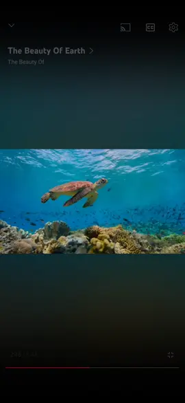 #earth #beauty ☀️