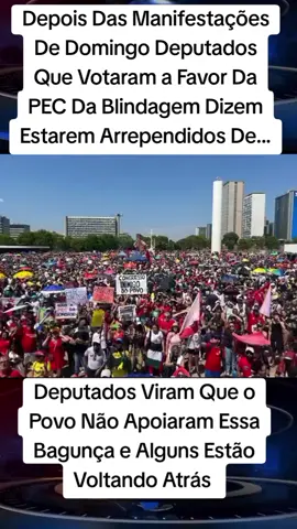 Depois Das Manifestações Desse Domingo Deputados Dizem Estarem Arrependidos e Pedem Desculpas  #noticia #breakingnews #cnnbrasil #noticiaurgente #informacaoimportante 