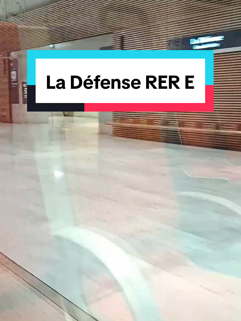 Parisian Train in Gare La Défense. Paris  #parisexplore #paris #paris©® 