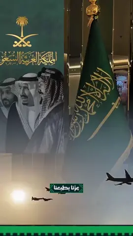 السعودية عظيمة..للخوي غيث وغيمة🇸🇦 #اكسبلور #اليوم_الوطني_السعودي_95 #المملكة_العربية_السعودية  #عزنا_بطبعنا #fypシ゚ 