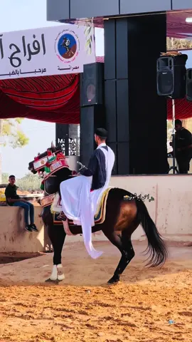 استمتع #الرقم_الصعب🔥👑 