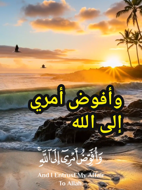 أجمل تلاوة قرآنية الشيخ عبدالباسط عبدالصمد صوت لا يُنسى أجمل تلاوة قرآنية AbdelBasitAbdelSamad عبدالباسط عبدالصمد مؤثر القرآن الكريم بصوت عبدالباسط QuranTilawah تلاوات خاشعة HolyQuran القرآن الكريم بصوت جميل صوت يلامس القلب #الشيخ_عبدالباسط_عبدالصمد #تلاوة_مؤثرة #القرآن_الكريم #تلاوات_خاشعة #quranrecitation 